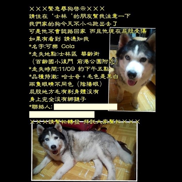 可樂飼主一家積極尋找失蹤的可樂，致電台北市動保處和動物之家都詢問未果，到處貼傳單時才從鄰居得知，可樂已由動物救援隊處理，這時才聯絡上救援隊。　　取自賴小姐臉書
