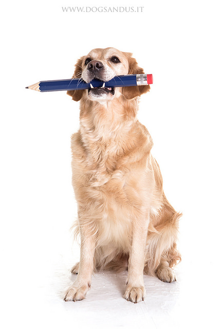 文字是最有力量的武器!作家、記者能夠過寫作傳達動保觀念。 Flickr_mario forcherio