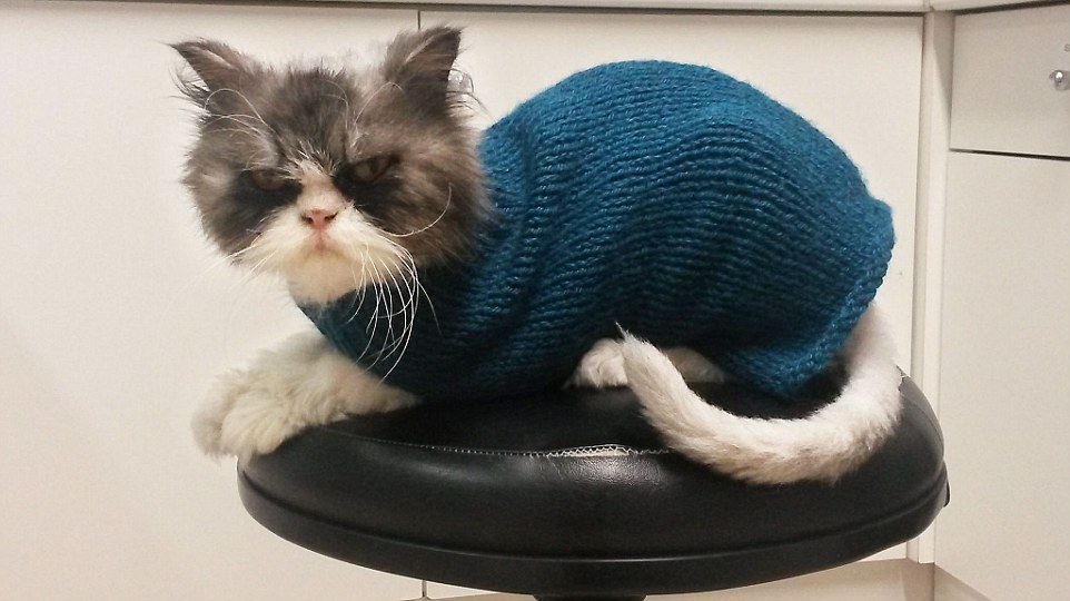 醫院員工的媽媽幫麥特織了專屬外套! 取自英國《每日郵報》