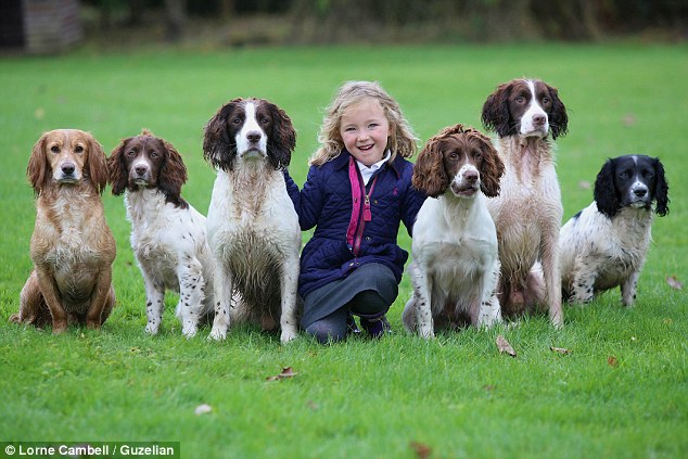 艾莉家中有6隻獵犬，跟她關係都很親密。　取自英國《每日郵報》