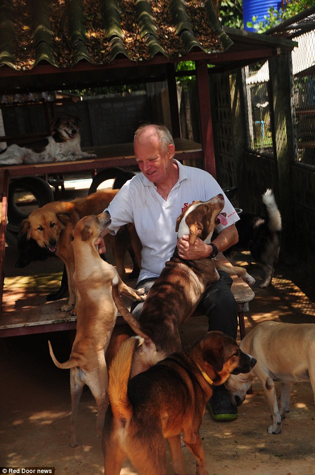 英國人約翰在泰國成立巷子狗基金會，致力營救待宰犬隻。  取自英國《每日郵報》