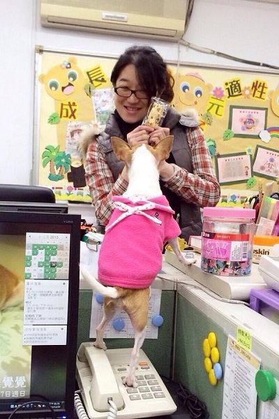 學校同仁和小米相處融洽,心煩時就跟小米玩。 李心儀/提供