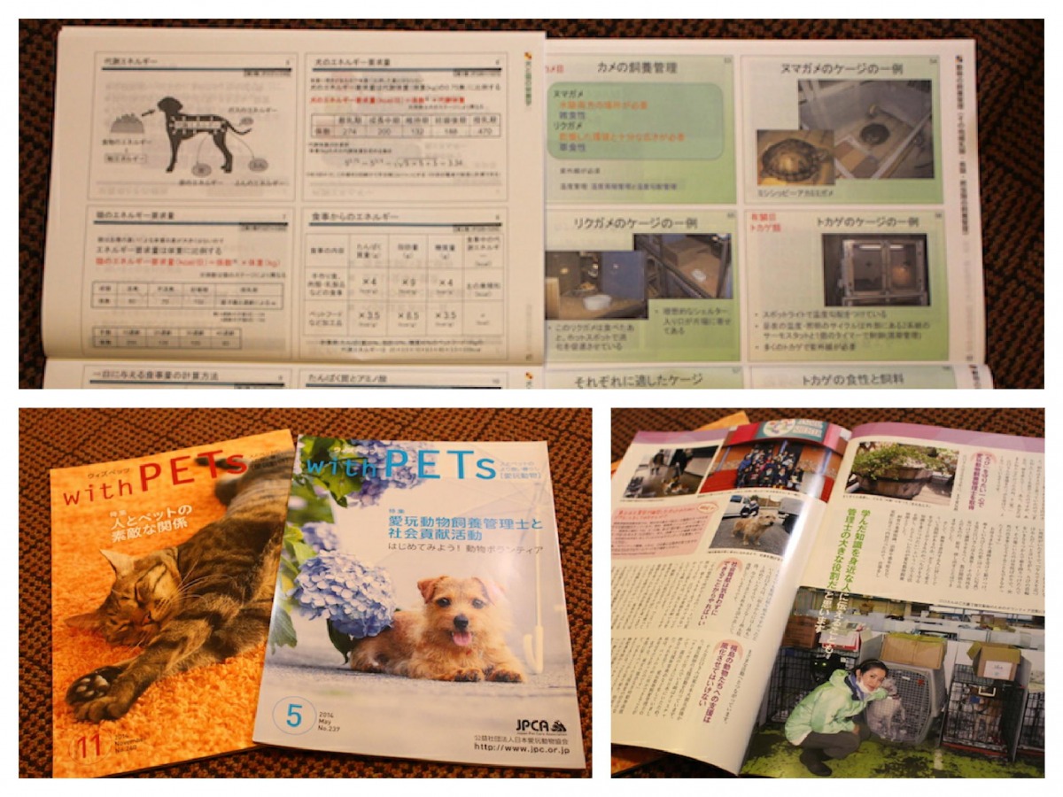 (上圖)為飼養管理士的認證教材，右邊那本是介紹如何正確飼養爬蟲類、左邊則是狗的營養學。(下圖左右)為日本愛玩動物協會發行的月刊，外觀就像雜誌一樣，除了會發給會員外，還會給政府機關、圖書館等等。   何宜/攝