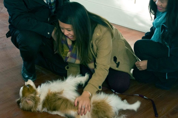 媽咪~妳終於來帶我回家了！　取自The Dodo