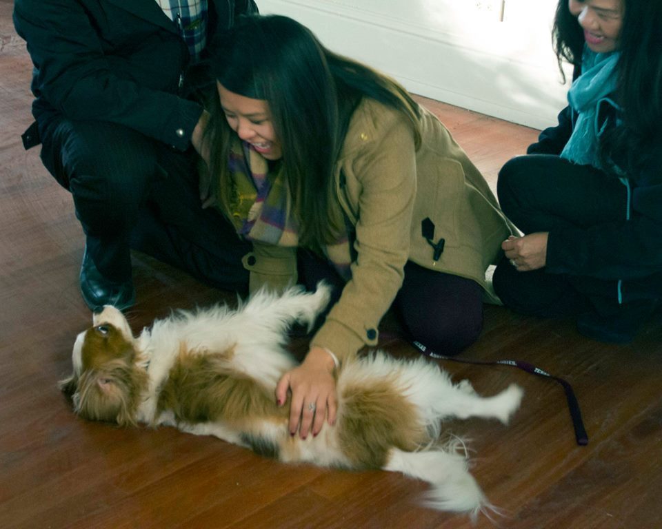 美國染伊護士日前和愛犬相見歡。美國獸醫醫學協會建議，染伊飼主的寵物必須隔離，若確診就安樂死。　取自The Dodo