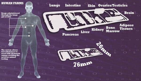 人體器官微型晶片內含10種器官,可模擬藥物進入人體後的反應。 取自網路