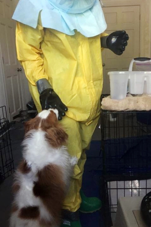 賓利很配合工作人員。　取自英國《每日郵報》