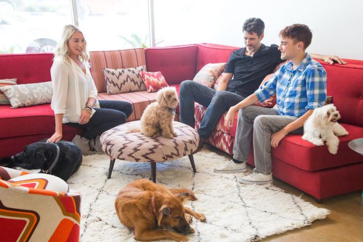 DogVacay主打民眾自己來當寵物保姆，和寵物旅館較勁。　取自Techcrunch