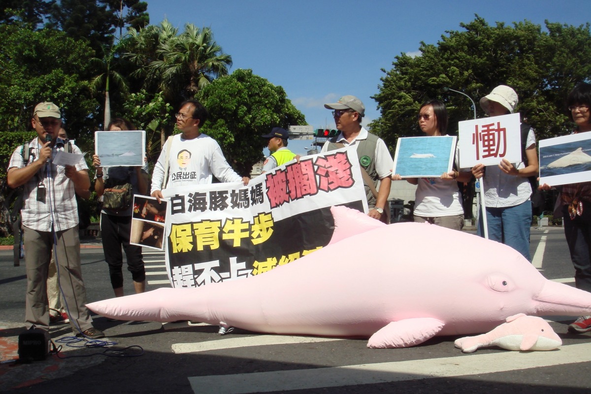 台灣媽祖魚保育聯盟和許多動保團體今到總統府陳情，籲求盡速公告白海豚重要棲息環境。　江幸芸/攝