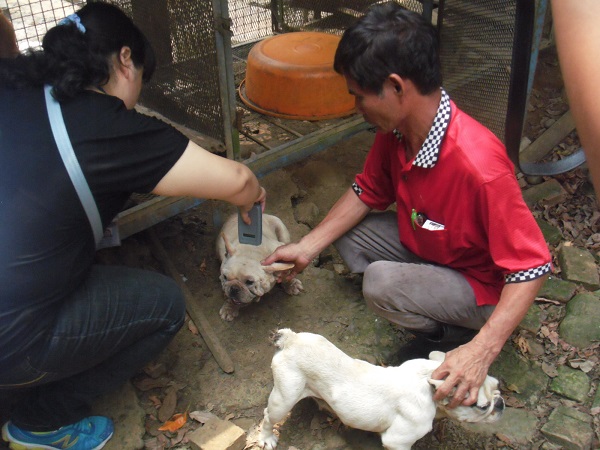 萬能犬舍事前將部分犬隻移往他處，規避查核，但還是被發現。　桃園縣動物防疫所/提供