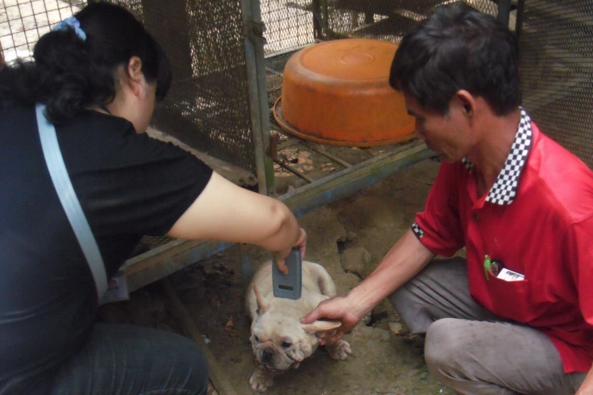 桃園縣動物防疫所招募20名義務動保員。圖為桃園防疫所稽查萬能犬舍。　桃園縣動物防疫所/提供