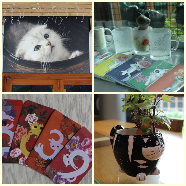 賴麗純開發多款貓咪商品，天使生活館內也到處都是貓。　江幸芸/攝