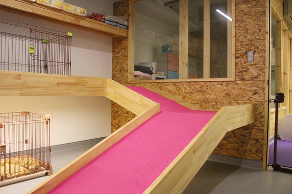 休憩區是毛孩休息玩樂的地方，爬坡設計可讓牠們練習爬坡、跳躍。　江幸芸/攝