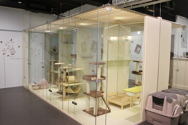 每間貓房都有跳台，而房間以外都是貓咪自由活動的空間。　江幸芸/攝