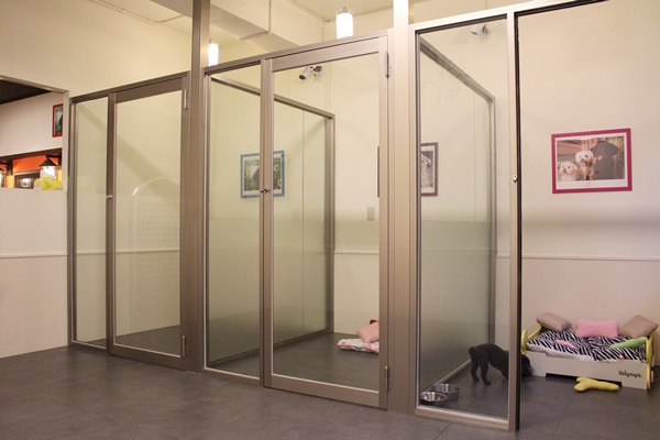 3間大狗房和中小型犬房是分開的。　江幸芸/攝