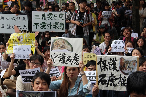 各縣市長候選人的動保政見,只有苗栗縣長候選人江明修將野生動物石虎納入政見。 何宜/攝