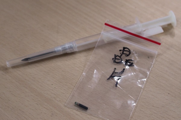 施打寵物晶片的針頭比一般針頭來得大。 江幸芸/攝