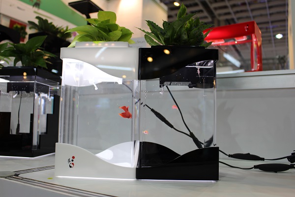 生態魚缸不僅能養魚，還可以種植栽。 　李娉婷/攝