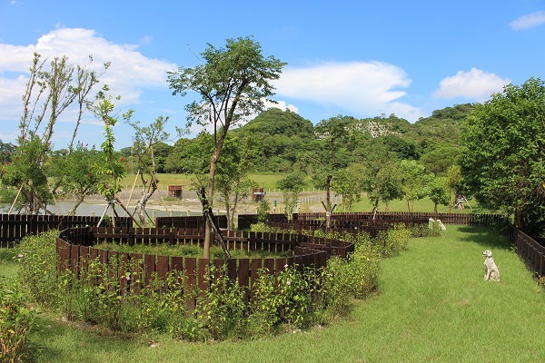 富德公墓的秘密花園規劃4個苗圃作為灑葬區。　江幸芸/攝