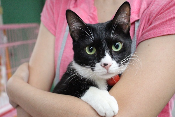 常駐輔導處的小優個性最穩定。　江幸芸/攝