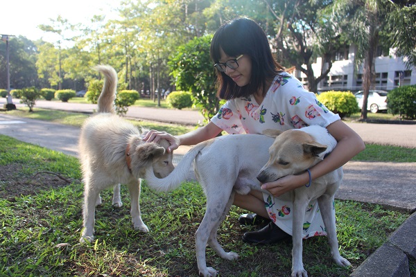 就讀輔大日文系的劉玉茹，現擔任「關懷流浪動物志工團隊」隊長。　江幸芸/攝