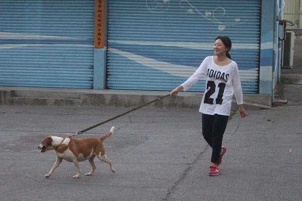 又到了放風時間，整天待在籠舍內的狗狗可開心了！　江幸芸/攝