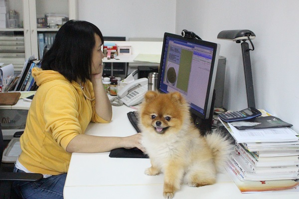 馬麻上班，我在旁邊玩~　江幸芸/攝