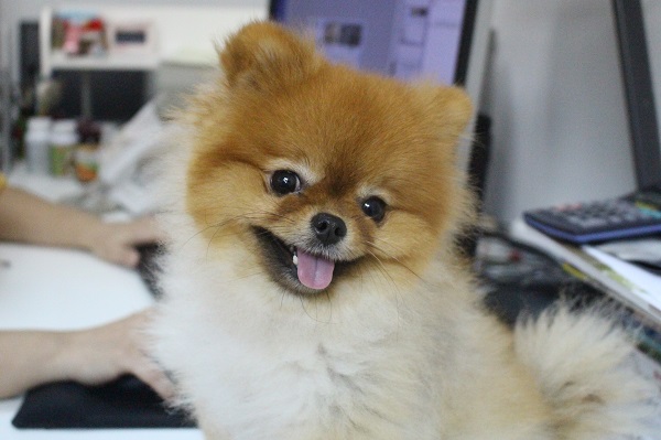 笑容滿分，果然是最佳代言人！　江幸芸/攝