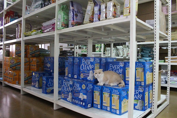 Dibo每天都在倉庫裡自由穿梭。　江幸芸/攝