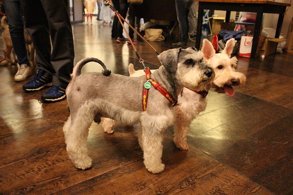 好朋友一起逛市集！    江幸芸/攝