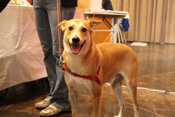 期待媽媽幫我買零食！    江幸芸/攝