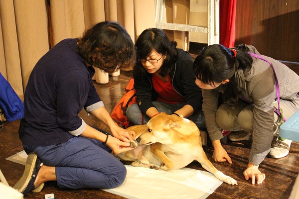 飼主帶著狗狗來享受按摩。    江幸芸/攝