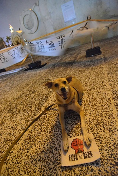 罔市到自由廣場聲援香港的佔中行動。　陳秉亨/提供