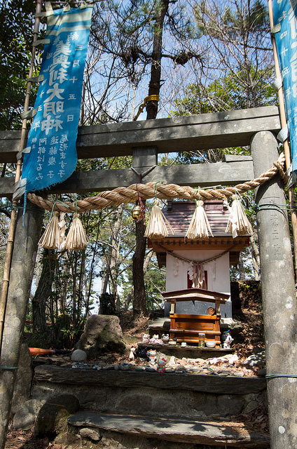 田代島居民蓋了貓神社,祈求年年豐收。 Flickr_ Megumi Murai