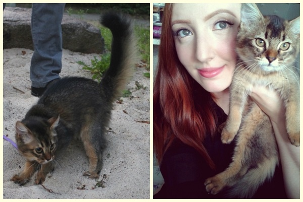 Lyalya是名副其實的喵星人! 取自Palina’s Tumblr