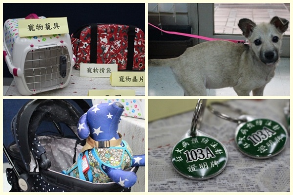 北市動保自治條例強化飼主責任，寵物出入公共場所要有牽繩、箱籠、推車等防護措施，施打狂犬疫苗也一定要帶頸牌。　江幸芸/攝