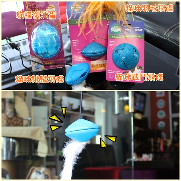 貓咪也有多款益智玩具(上圖),除了在地上玩的,還有吊起來讓貓咪跳高高的款式(下圖)。 江幸芸/攝