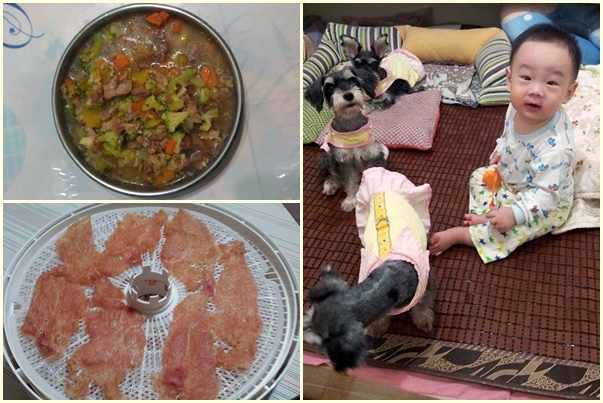 現在楊雪玉都自己做鮮食、零食給狗狗吃，還讓小孫子跟牠們玩在一起。　楊雪玉/提供