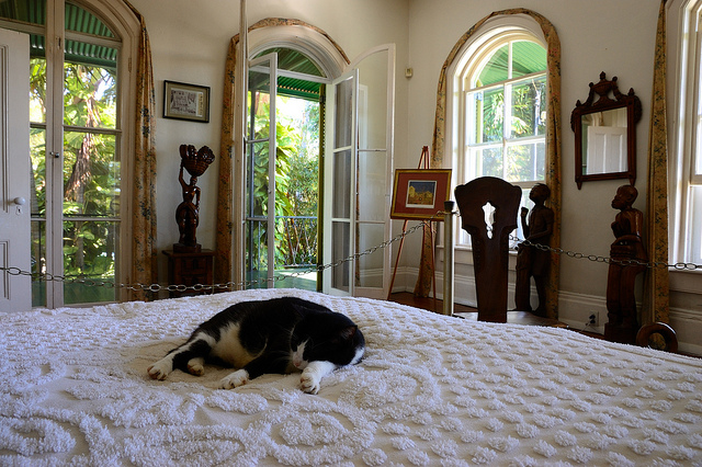 貓咪儼然是海明威博物館的主人，遊客禁止觸摸的大床，只有貓咪能在上頭呼呼大睡！　Flickr_ Reynard Fx