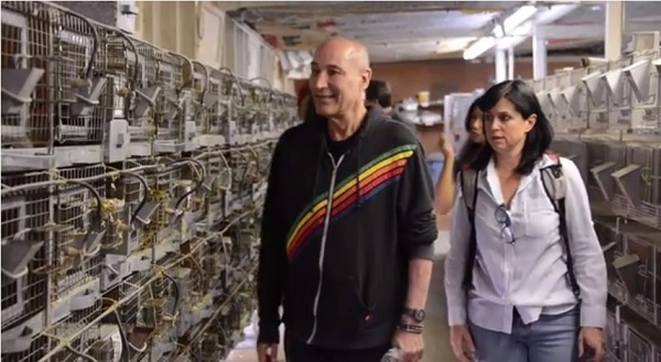 山姆西蒙（左）到繁殖場了解毛絲鼠的狀況。　取自Youtube