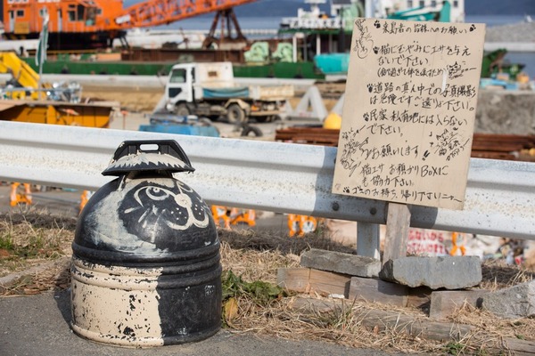 居民設立告示牌,禁止遊客餵貓,如果有帶飼料,可集中於飼料箱。 取自網路
