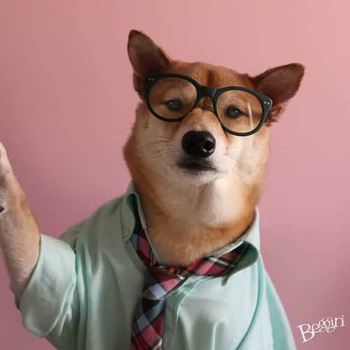 文青時尚不能少了我！　取自Tumblr