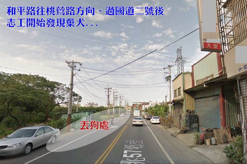 國道二號與和平路交界處開始,沿路都有棄犬出沒,請駕駛人注意。 取自Google地圖