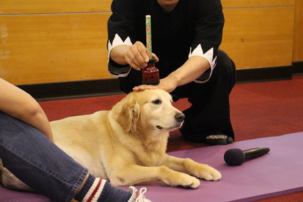 石野孝示範使用溫灸。　江幸芸/攝