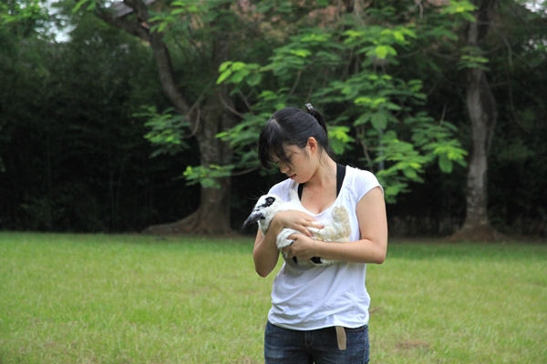 兔子攝影師鄭如敏與兔子「露莎」的緣分就像命中注定。　鄭如敏/提供