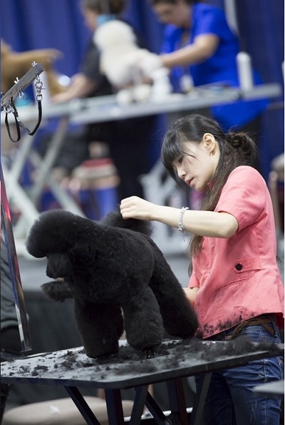 梁憶萍在中小型犬的比賽中獲得第3名。 梁憶萍/提供