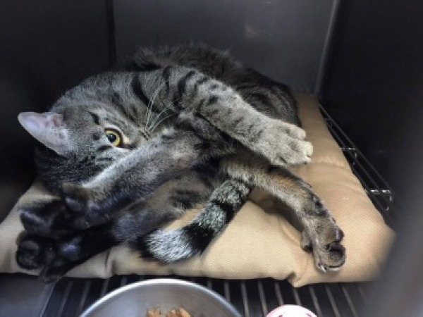 在醫院突然變得超親人的丁丁