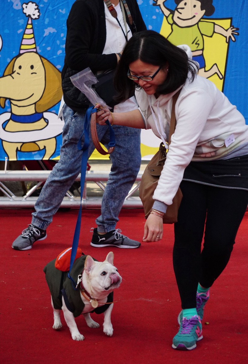 毛孩服裝秀爭奇鬥艷創意展露無遺。高維奇攝