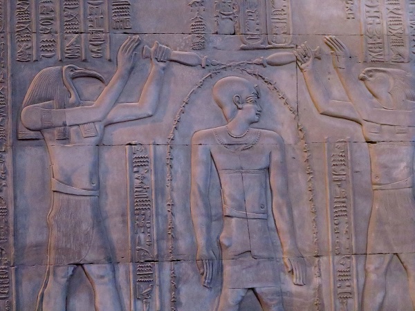 埃及聖䴉被尊為科學、數學、書記之神，而牠是古埃及知識之神「托特」的神聖象徵(左)。蕭士塔/攝