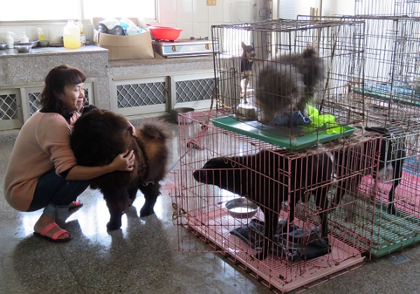 將流浪狗養在郊區獨棟的透天厝，較能有效隔絕噪音。 蕭士塔/攝